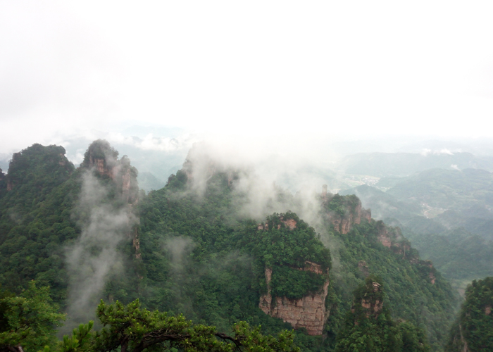 美高梅·MGM(中国游)官网正网