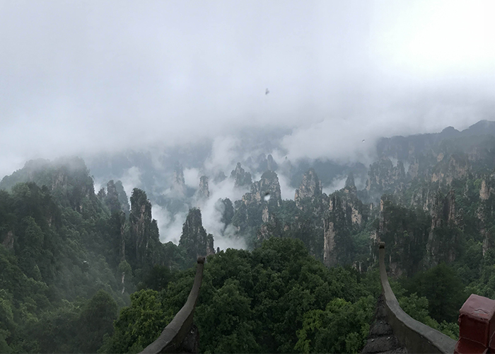 美高梅·MGM(中国游)官网正网