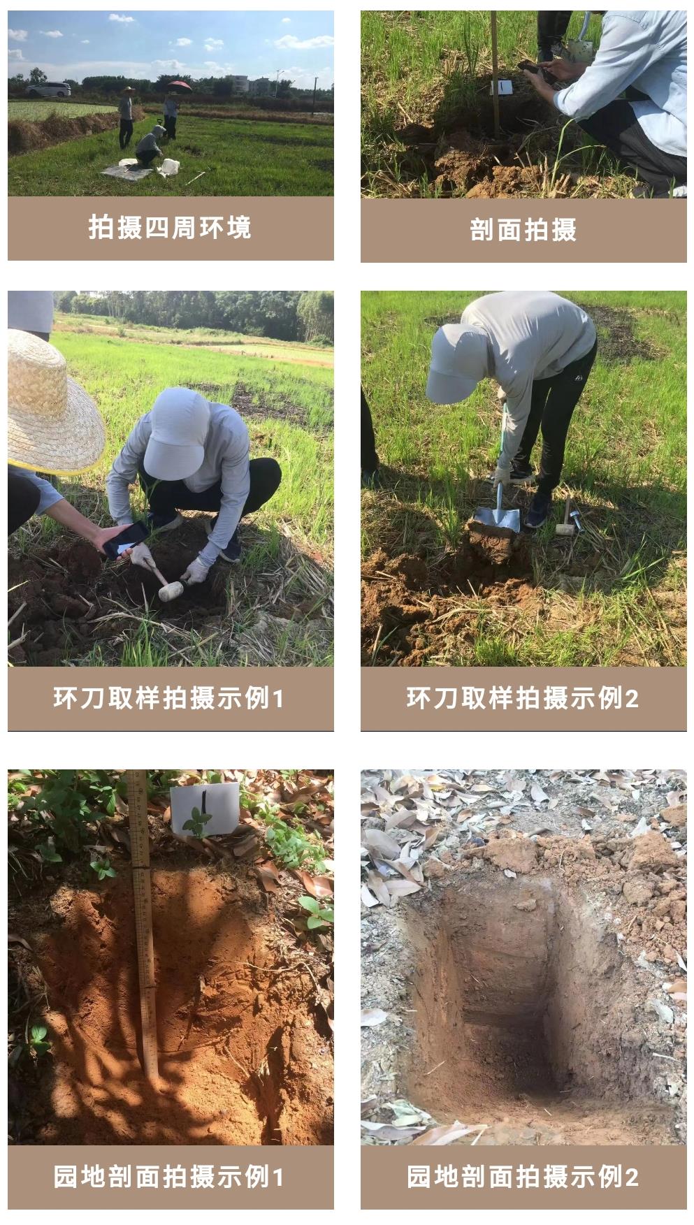 美高梅·MGM(中国游)官网正网