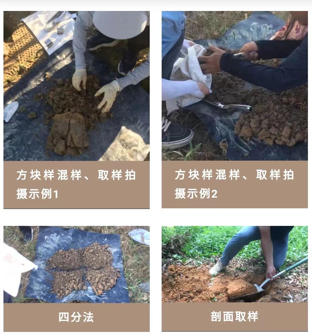 美高梅·MGM(中国游)官网正网